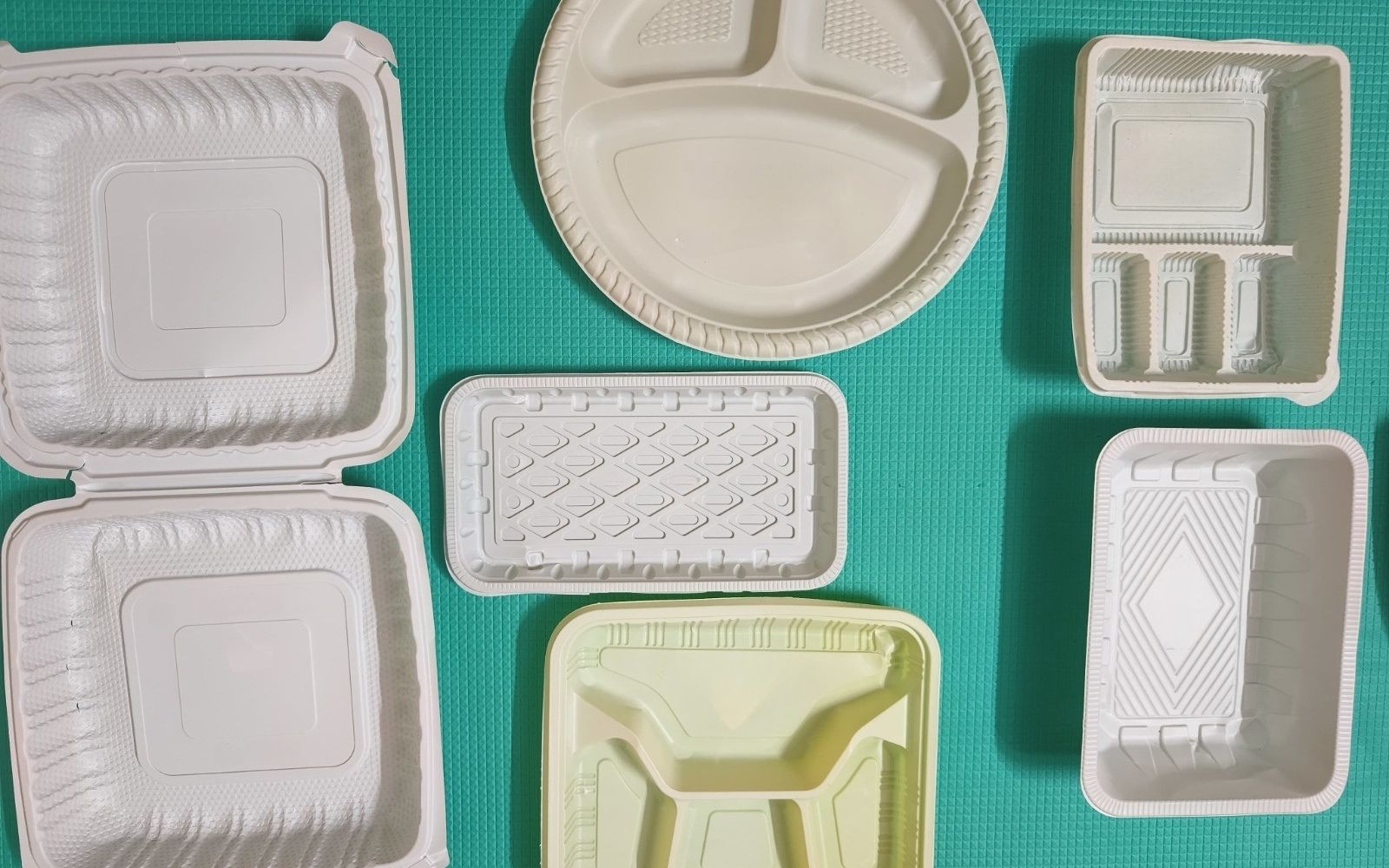 Disposable Food Container