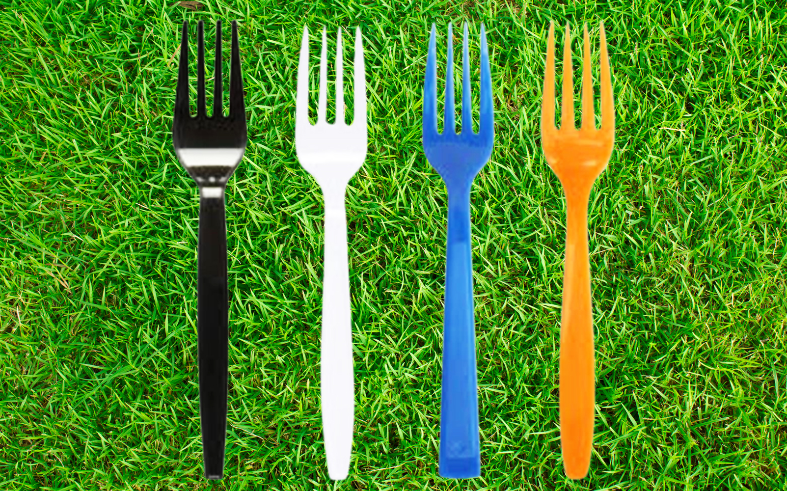 Disposable Fork