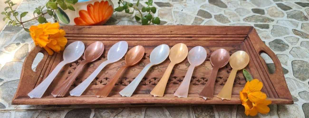 Nature’s Cutlery Banner 2